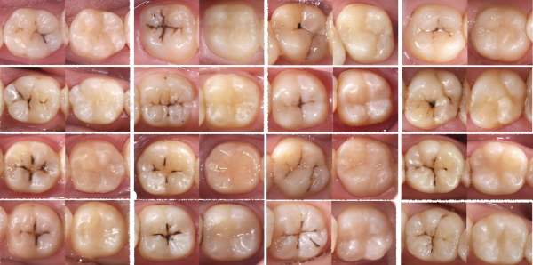 6485ea87-6cb9-dd5a-c74a-12ae9abb66c9_副本.png